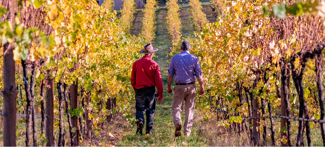 Hahndorf Hill winemakers